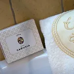 Gens Camuria
